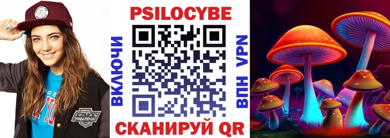 как найти наркотики  Черняховск  ОМГ ОМГ зеркало  Псилоцибиновые грибы Psilocybine cubensis 